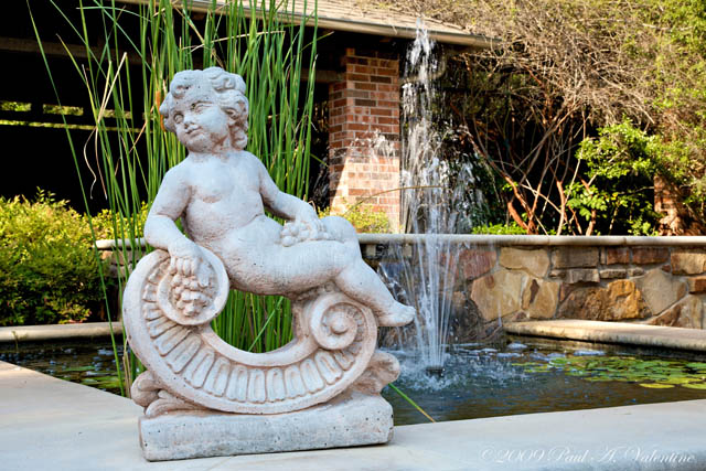 Clark Gardens Botanical Park