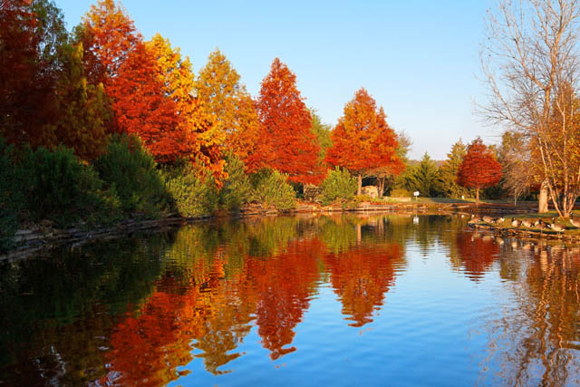 Clark Gardens Botanical Park