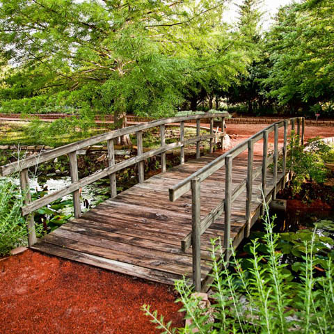 Clark Gardens Botanical Park in Weatherford | Tour Texas