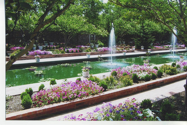 Clark Gardens Botanical Park