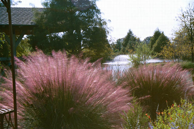 Clark Gardens Botanical Park