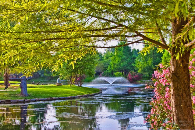 Clark Gardens Botanical Park In Weatherford Tour Texas