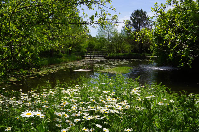 Clark Gardens Botanical Park