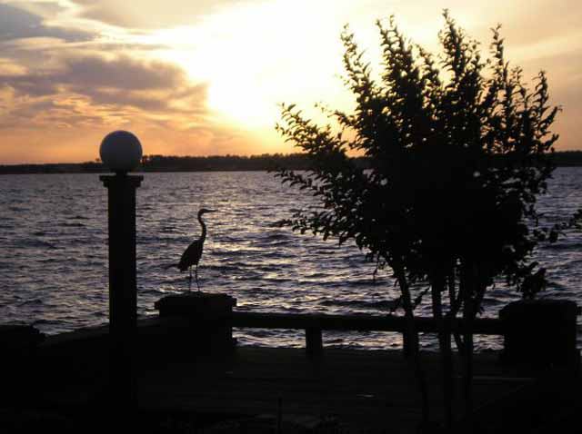 Conroe, Texas