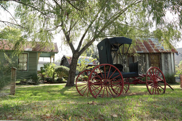 Silver Sycamore Bed & Breakfast 