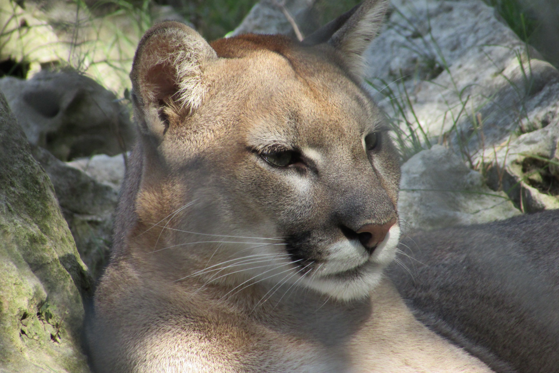 Austin Zoo