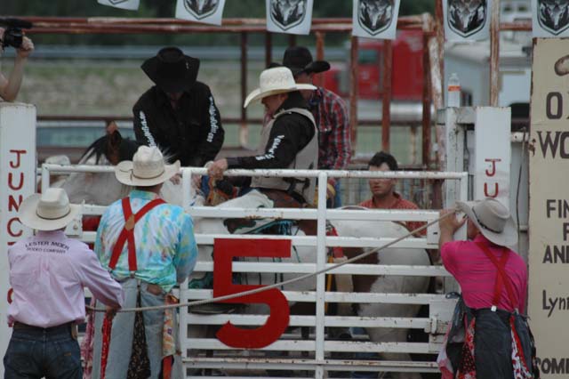 Rodeo in Junction - AUGUST