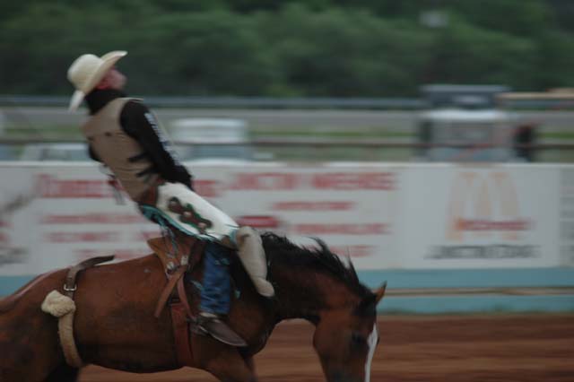 Rodeo in Junction - AUGUST