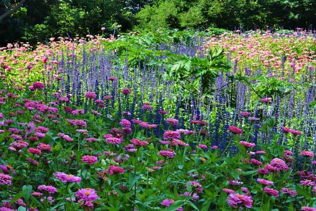 Dallas Arboretum and Botanical Garden