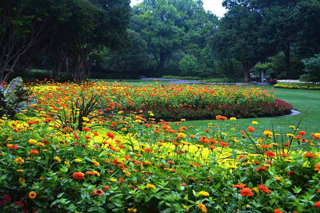 Dallas Arboretum and Botanical Garden