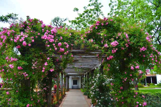 Dallas Arboretum and Botanical Garden