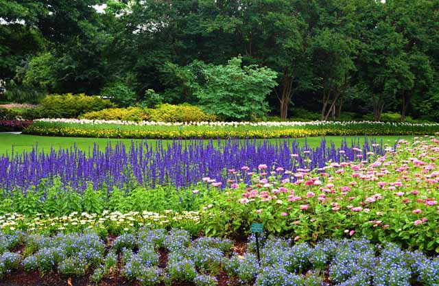Dallas Arboretum and Botanical Garden