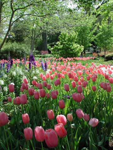 Dallas/Fort Worth Area, Texas