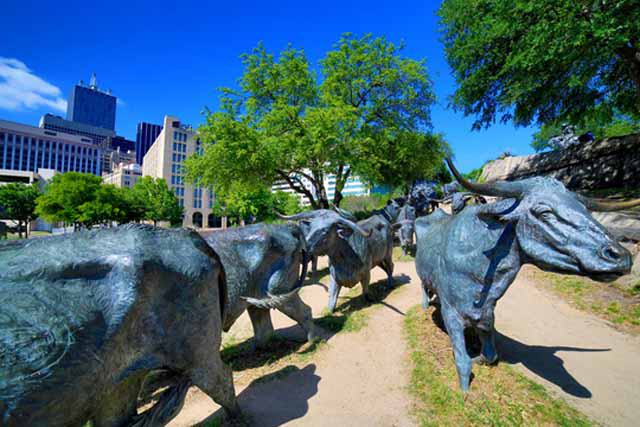 Visit Dallas