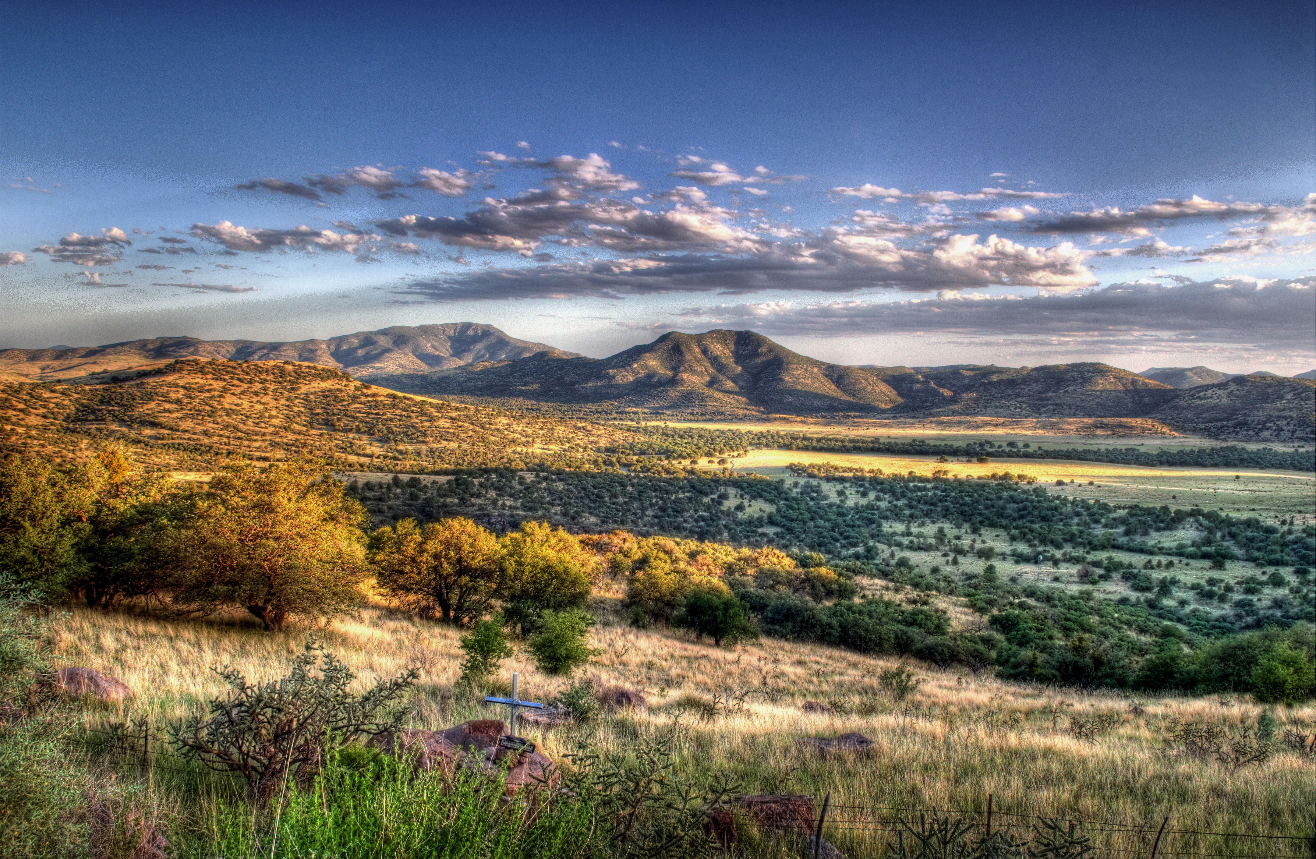 davis mountain state park