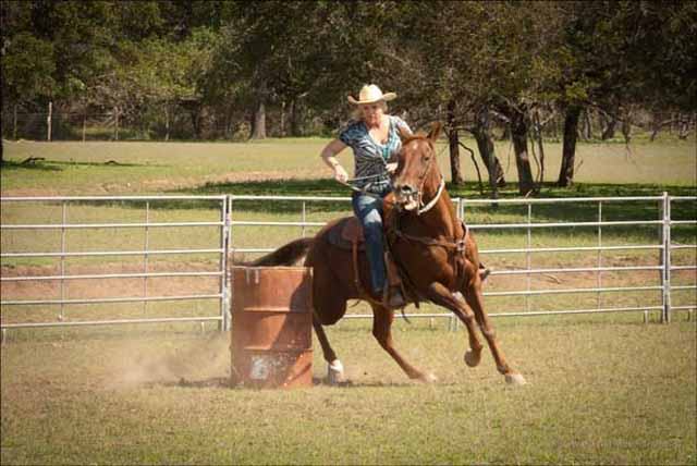 Dixie Dude Ranch