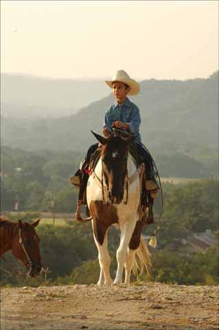 Dixie Dude Ranch