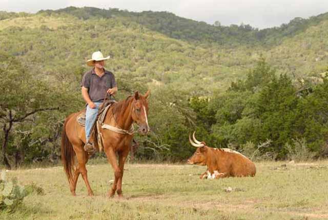 Dixie Dude Ranch