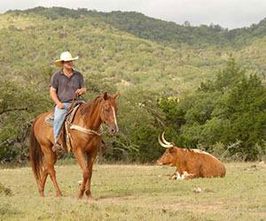 Dixie Dude Ranch