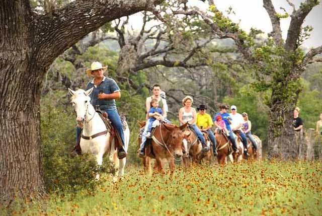 Dixie Dude Ranch