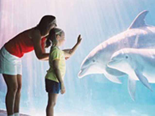 SeaWorld® San Antonio