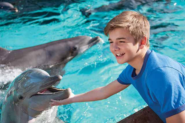 SeaWorld® San Antonio