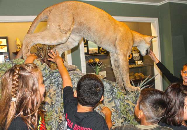 Eaton Hill Nature Center and Preserve