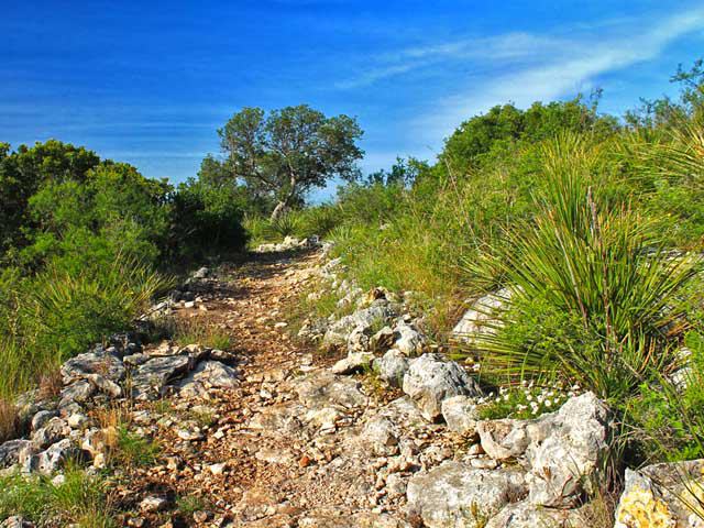 Eaton Hill Nature Center and Preserve