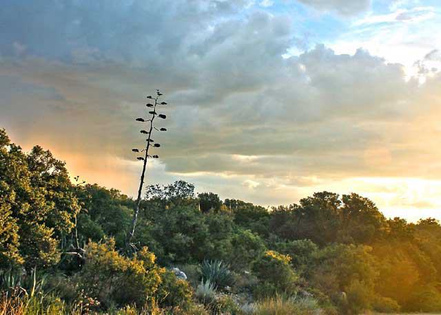 Eaton Hill Nature Center and Preserve