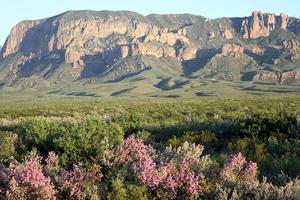 Chisos Mountains Lodge