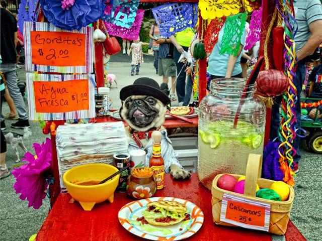 Fiesta® San Antonio