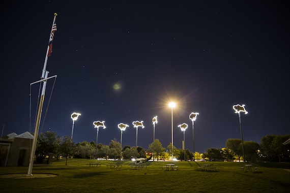 Illuminated buffalo-shaped sculptures atop poles glow across the Frontier Texas parade grounds at night, with American and Texas flags flying and picnic tables on the lawn.