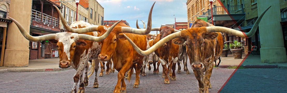 Fort Worth Attractions