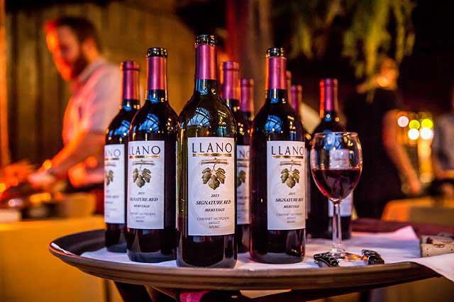 Fredericksburg Food and Wine Fest