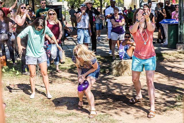 Fredericksburg Food and Wine Fest