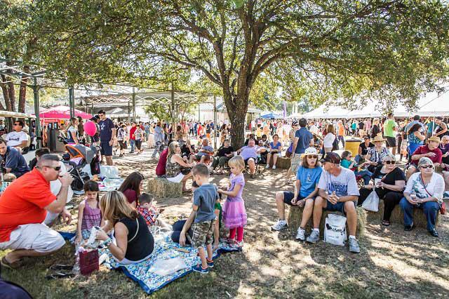 Fredericksburg Food and Wine Fest