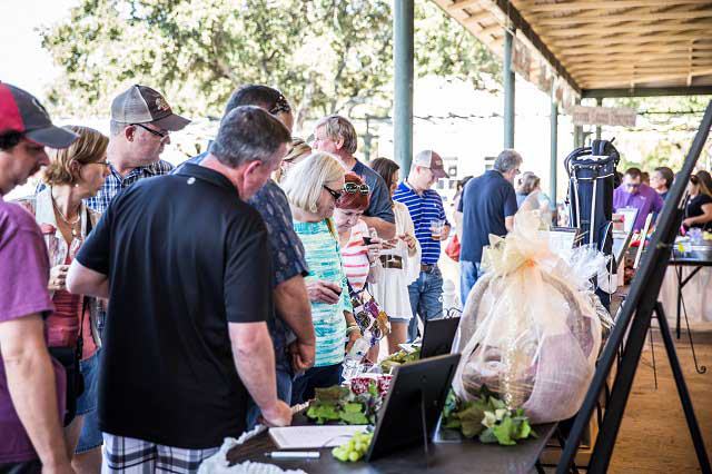 Fredericksburg Food and Wine Fest