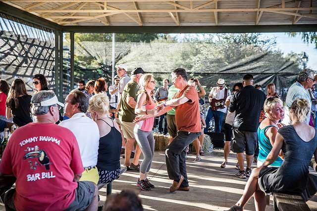 Fredericksburg Food and Wine Fest