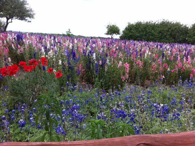 Fredericksburg, Texas