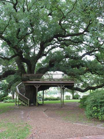 George Ranch Historical Park