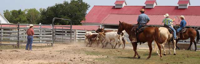 George Ranch Historical Park
