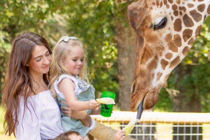 A mother and daughter feed a giraffe with lettuce from a designated feeding station at Texas Zoofari Park in Kaufman, TX.