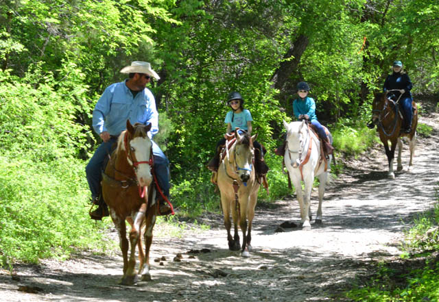 Somervell County