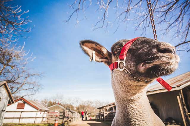 Heritage Farmstead Museum