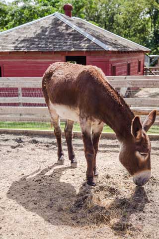 Heritage Farmstead Museum