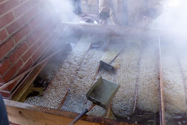Henderson Heritage Syrup Festival