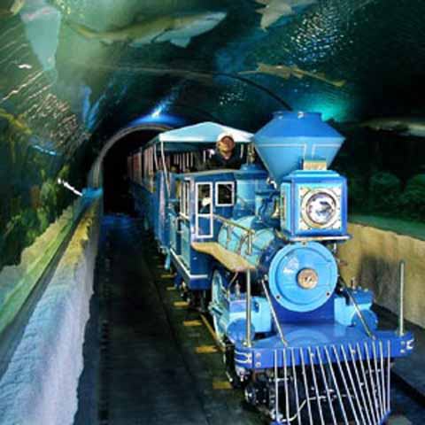 Houston CityPASS