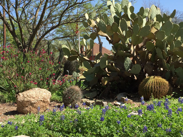 Riverside Nature Center