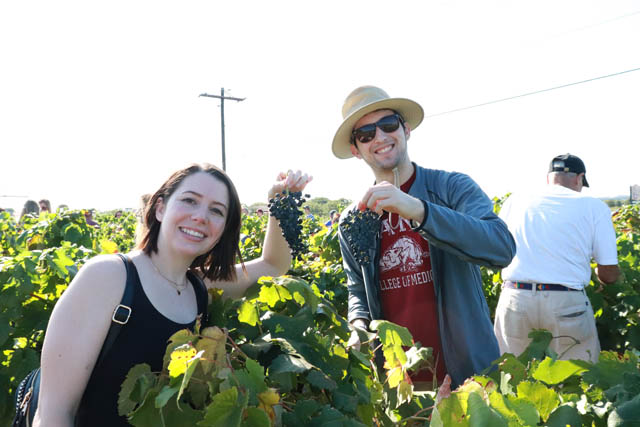 Messina Hof Winery