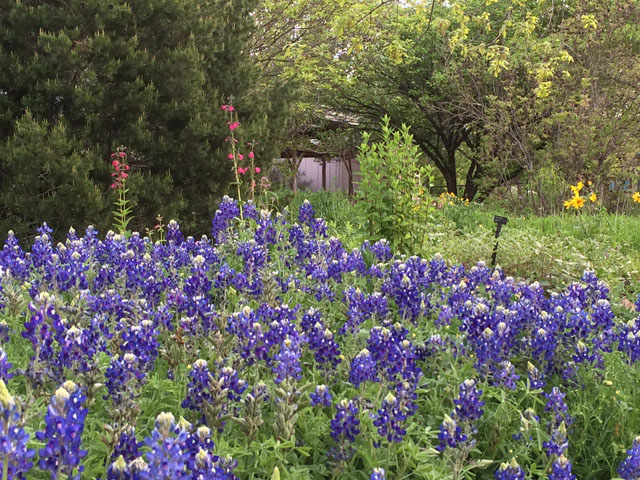 Riverside Nature Center